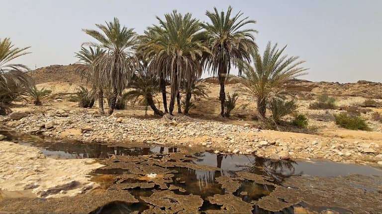 من شبوة إلى الحديدة.. تلوث نفطي يهدد اليمن تسرب النفط في وادي غرير مديرية  الروضة