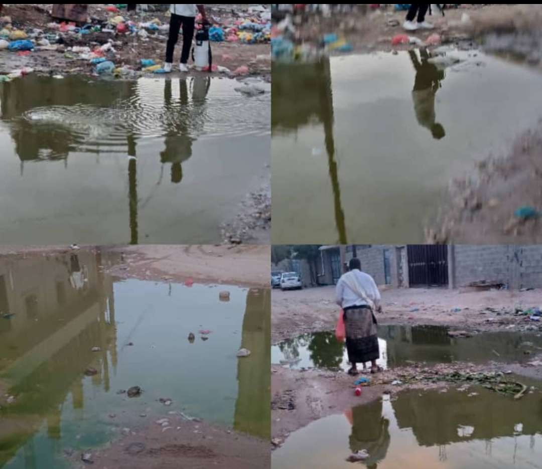 بتوجيهات مدير عام عتق، إدارة صحة البيئة تنفذ حملة رش (رذاذي) عقب هطول الأمطار الأخيرة