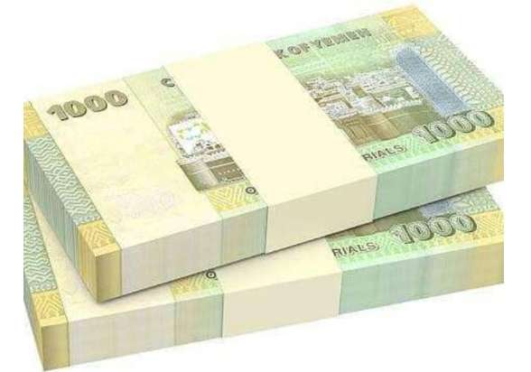 العاصمة عدن  :  أسعار صرف العملات الأجنبية مقابل الريال المحلي السبت 29 يونيو 2024    